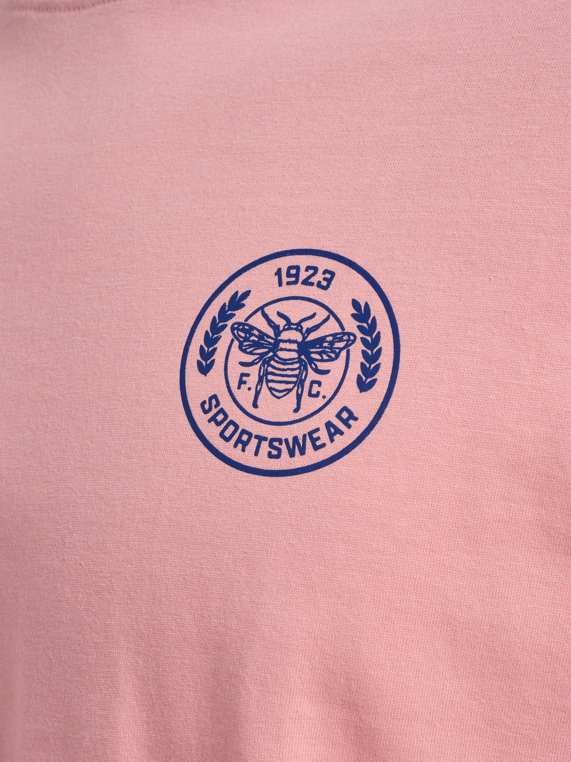 hmlSWARM LOOSE T-SHIRT, BRIDAL ROSE, packshot